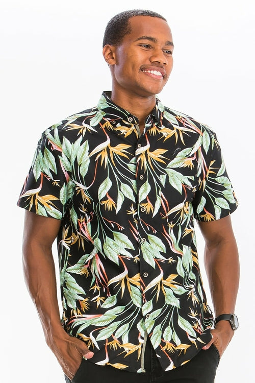 HAWAIIAN BUTTON DOWN SHIRTS