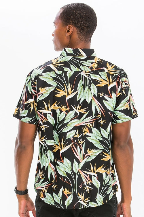 HAWAIIAN BUTTON DOWN SHIRTS